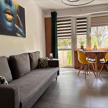 Apartament Teresa Nysa Exterior photo