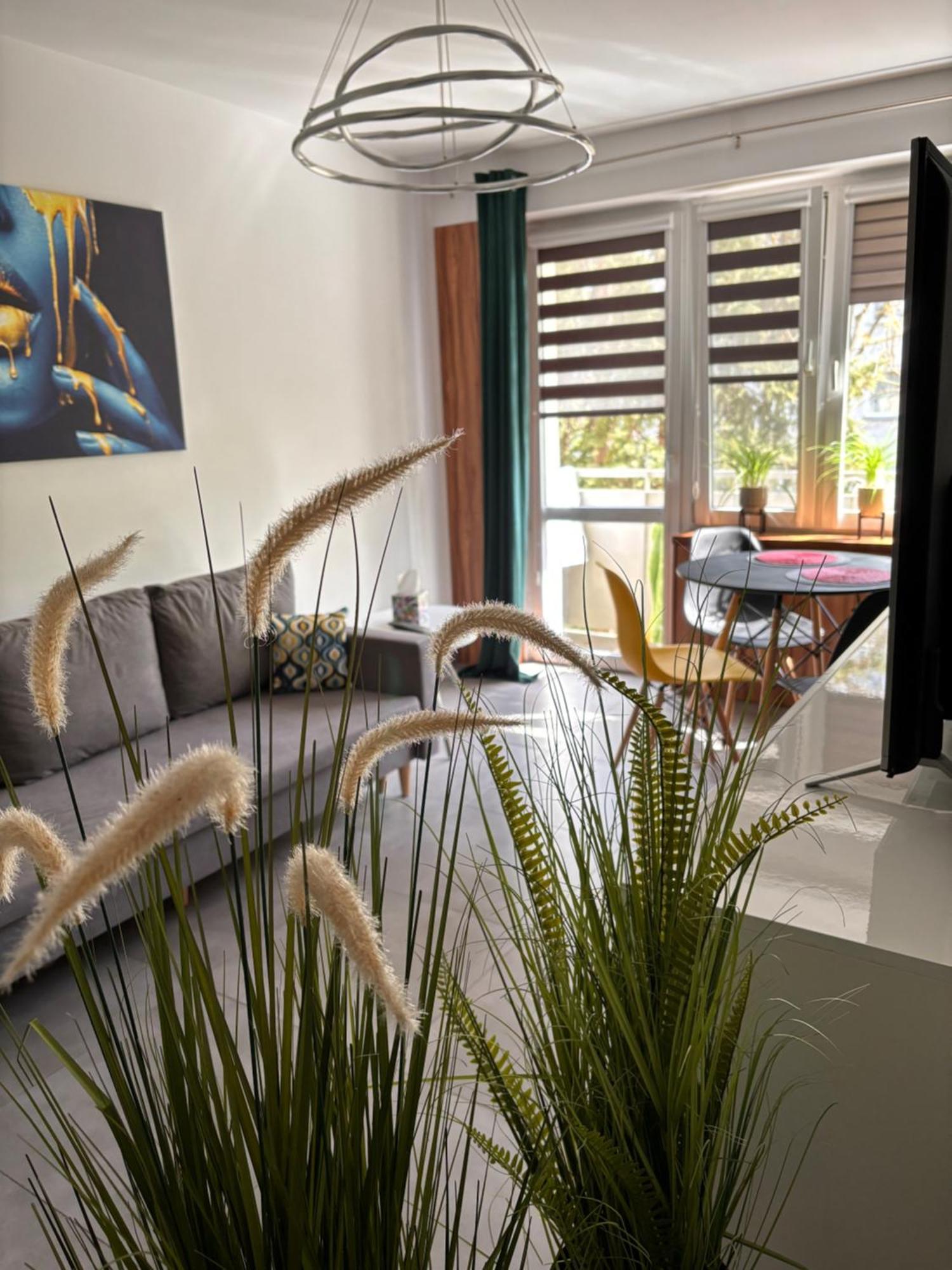 Apartament Teresa Nysa Exterior photo