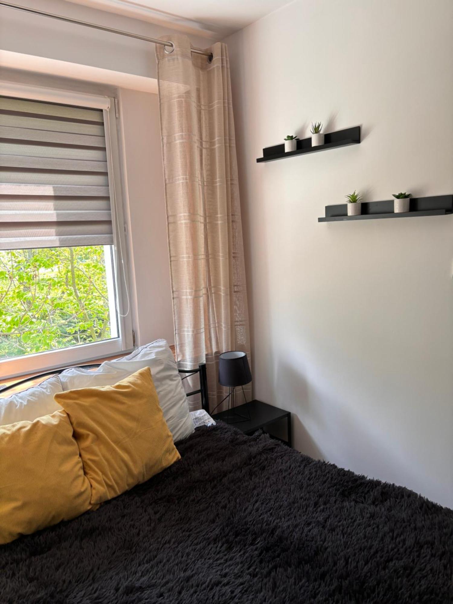 Apartament Teresa Nysa Exterior photo